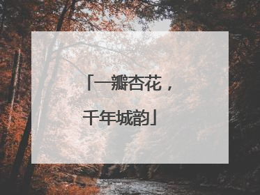 一瓣杏花，千年城韵