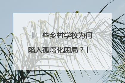 一些乡村学校为何陷入孤岛化困局？