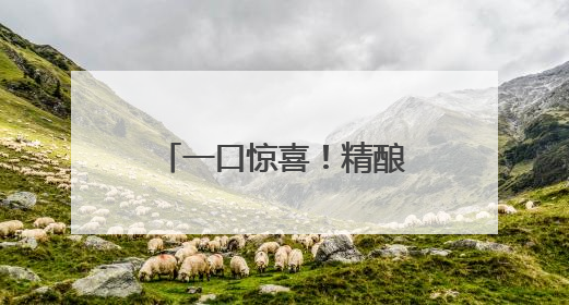 一口惊喜！精酿啤酒节，坐星空版公交兜风夜上海