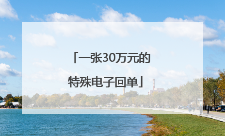 一张30万元的特殊电子回单