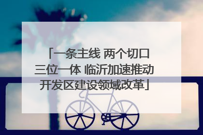 一条主线 两个切口 三位一体 临沂加速推动开发区建设领域改革