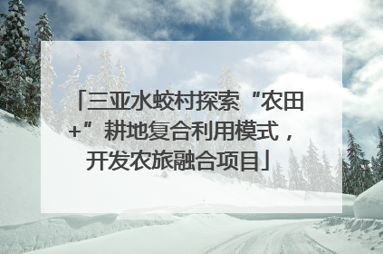 三亚水蛟村探索“农田+”耕地复合利用模式，开发农旅融合项目
