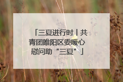 三夏进行时丨共青团睢阳区委暖心慰问助“三夏”