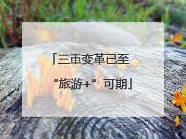 三重变革已至 “旅游+”可期