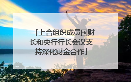 上合组织成员国财长和央行行长会议支持深化财金合作