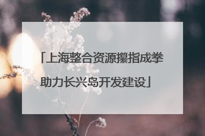 上海整合资源攥指成拳助力长兴岛开发建设