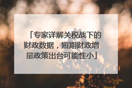 专家详解关税战下的财政数据，短期财政增量政策出台可能性小