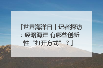 世界海洋日丨记者探访：经略海洋 有哪些创新性“打开方式”？