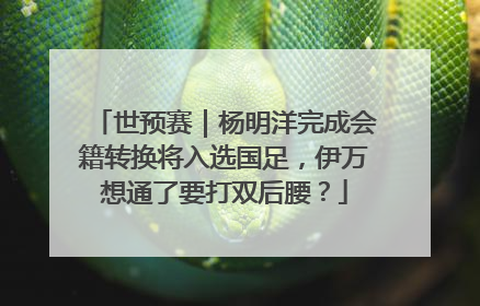 世预赛｜杨明洋完成会籍转换将入选国足，伊万想通了要打双后腰？