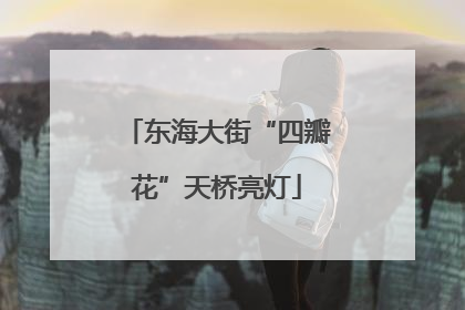 东海大街“四瓣花”天桥亮灯