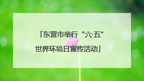 东营市举行“六·五”世界环境日宣传活动