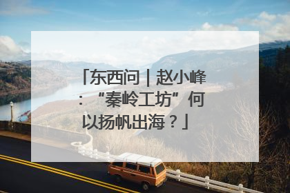 东西问｜赵小峰：“秦岭工坊”何以扬帆出海？