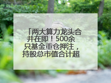 两大算力龙头合并在即！500余只基金重仓押注，持股总市值合计超380亿元