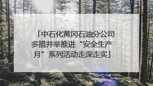 中石化黄冈石油分公司多措并举推进“安全生产月”系列活动走深走实