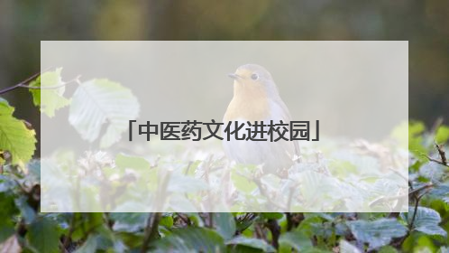 中医药文化进校园