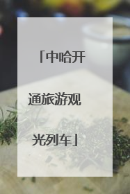 中哈开通旅游观光列车