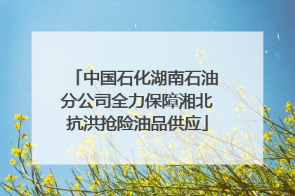 中国石化湖南石油分公司全力保障湘北抗洪抢险油品供应