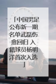 中国男足公布新一期名单武磊伤愈回归 入籍球员杨明洋首次入选