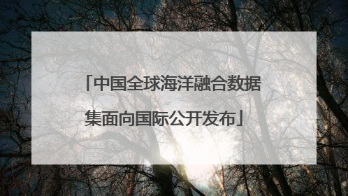 中国全球海洋融合数据集面向国际公开发布