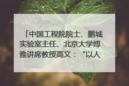 中国工程院院士、鹏城实验室主任、北京大学博雅讲席教授高文：“以人为本 智能向善” 推动文化与科技相生相促｜聚焦2025文化强国建设高峰论坛