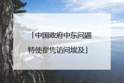 中国政府中东问题特使翟隽访问埃及