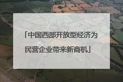 中国西部开放型经济为民营企业带来新商机