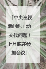 中央巡视期间他主动交代问题！上月底还参加会议