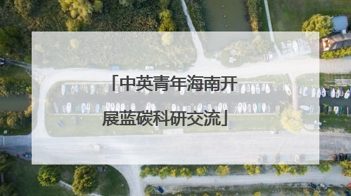 中英青年海南开展蓝碳科研交流