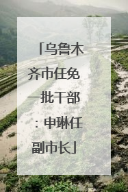 乌鲁木齐市任免一批干部：申琳任副市长