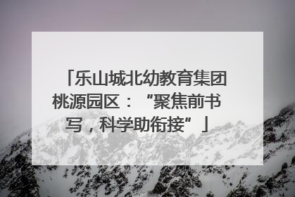 乐山城北幼教育集团桃源园区：“聚焦前书写，科学助衔接”