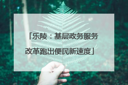 乐陵：基层政务服务改革跑出便民新速度