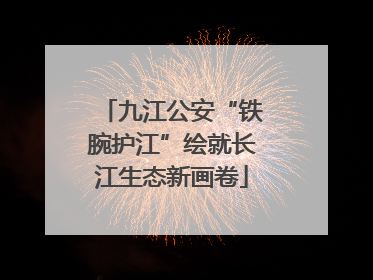 九江公安“铁腕护江”绘就长江生态新画卷