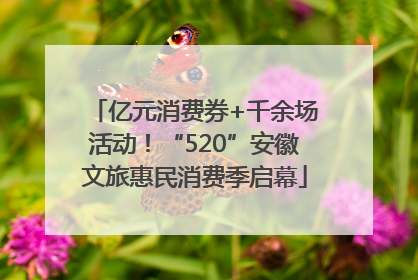 亿元消费券+千余场活动！“520”安徽文旅惠民消费季启幕