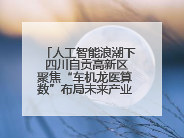 人工智能浪潮下 四川自贡高新区聚焦“车机龙医算数”布局未来产业丨美好生活有“盐”味
