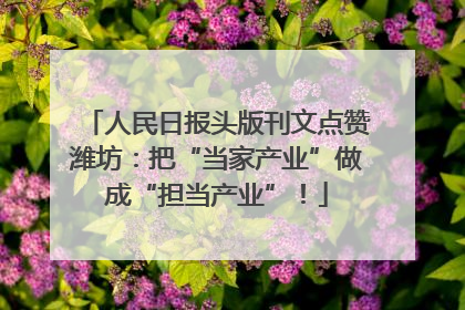 人民日报头版刊文点赞潍坊：把“当家产业”做成“担当产业”！