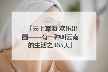 云上草海 欢乐出圈——有一种叫云南的生活之365天