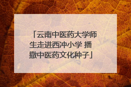 云南中医药大学师生走进西冲小学 播撒中医药文化种子