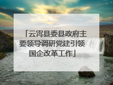 云霄县委县政府主要领导调研党建引领国企改革工作