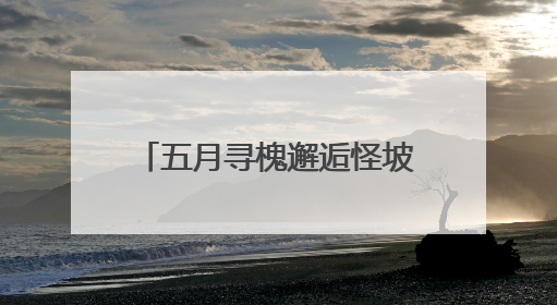五月寻槐邂逅怪坡，沈北新区中医院国潮中医雅集引热潮