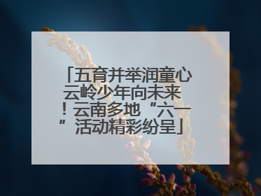 五育并举润童心 云岭少年向未来！云南多地“六一”活动精彩纷呈