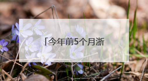 今年前5个月浙江中欧班列发运量同比增长约8%