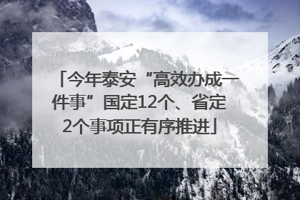 今年泰安“高效办成一件事”国定12个、省定2个事项正有序推进