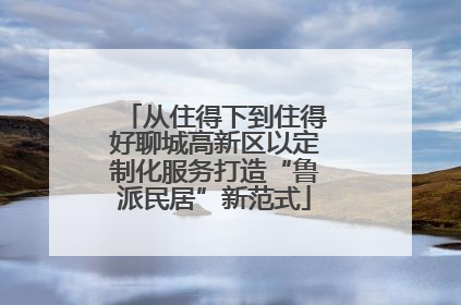 从住得下到住得好聊城高新区以定制化服务打造“鲁派民居”新范式