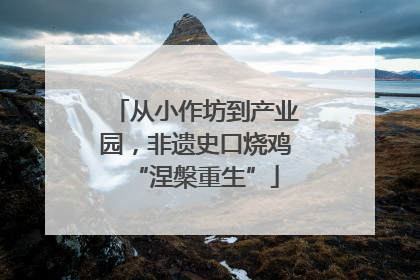 从小作坊到产业园，非遗史口烧鸡“涅槃重生”
