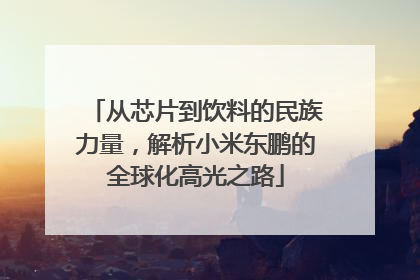 从芯片到饮料的民族力量，解析小米东鹏的全球化高光之路