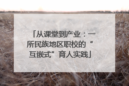 从课堂到产业：一所民族地区职校的“互嵌式”育人实践