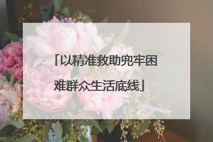 以精准救助兜牢困难群众生活底线