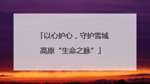 以心护心，守护雪域高原“生命之脉”