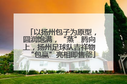 以扬州包子为原型，圆润饱满，“蒸”腾向上，扬州足球队吉祥物“包赢”亮相即售罄