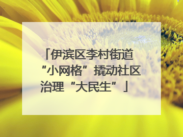 伊滨区李村街道 “小网格”撬动社区治理“大民生”